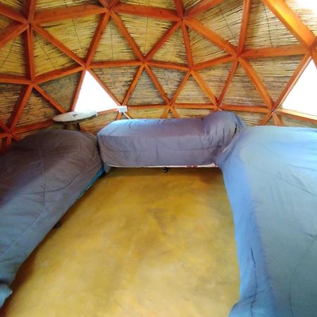 Hostel Casa Arbol Domos Cafayate Zewnętrze zdjęcie