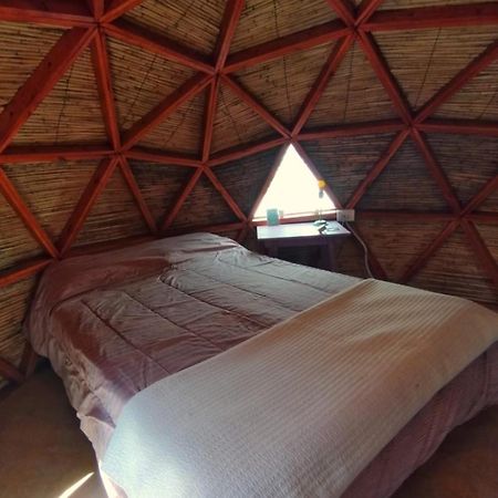 Hostel Casa Arbol Domos Cafayate Zewnętrze zdjęcie