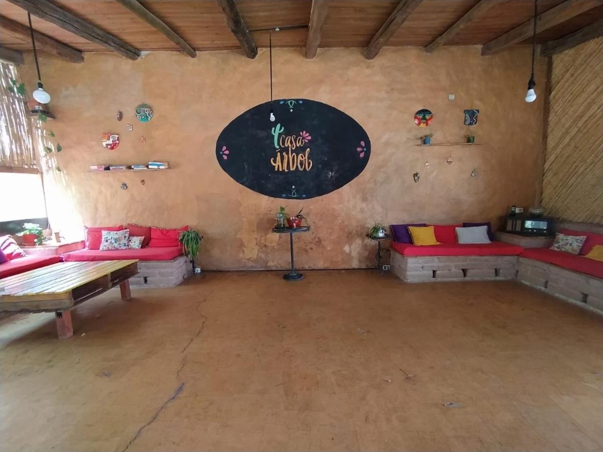 Hostel Casa Arbol Domos Cafayate Zewnętrze zdjęcie